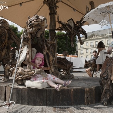 LE BESTIAIRE ALPIN-15