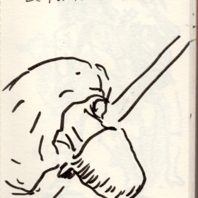 le_public_du_festival