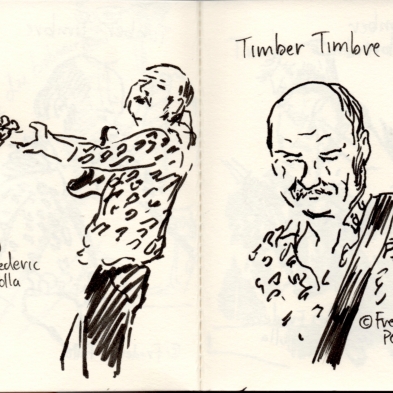 timber_timbre_1