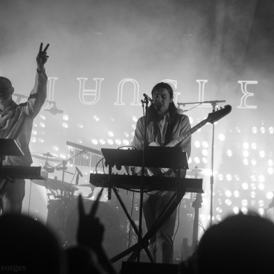 48_jungle_roselyne_120718