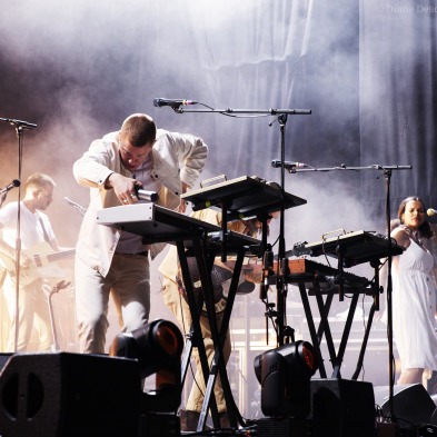 58_jungle_concert_diane_120718